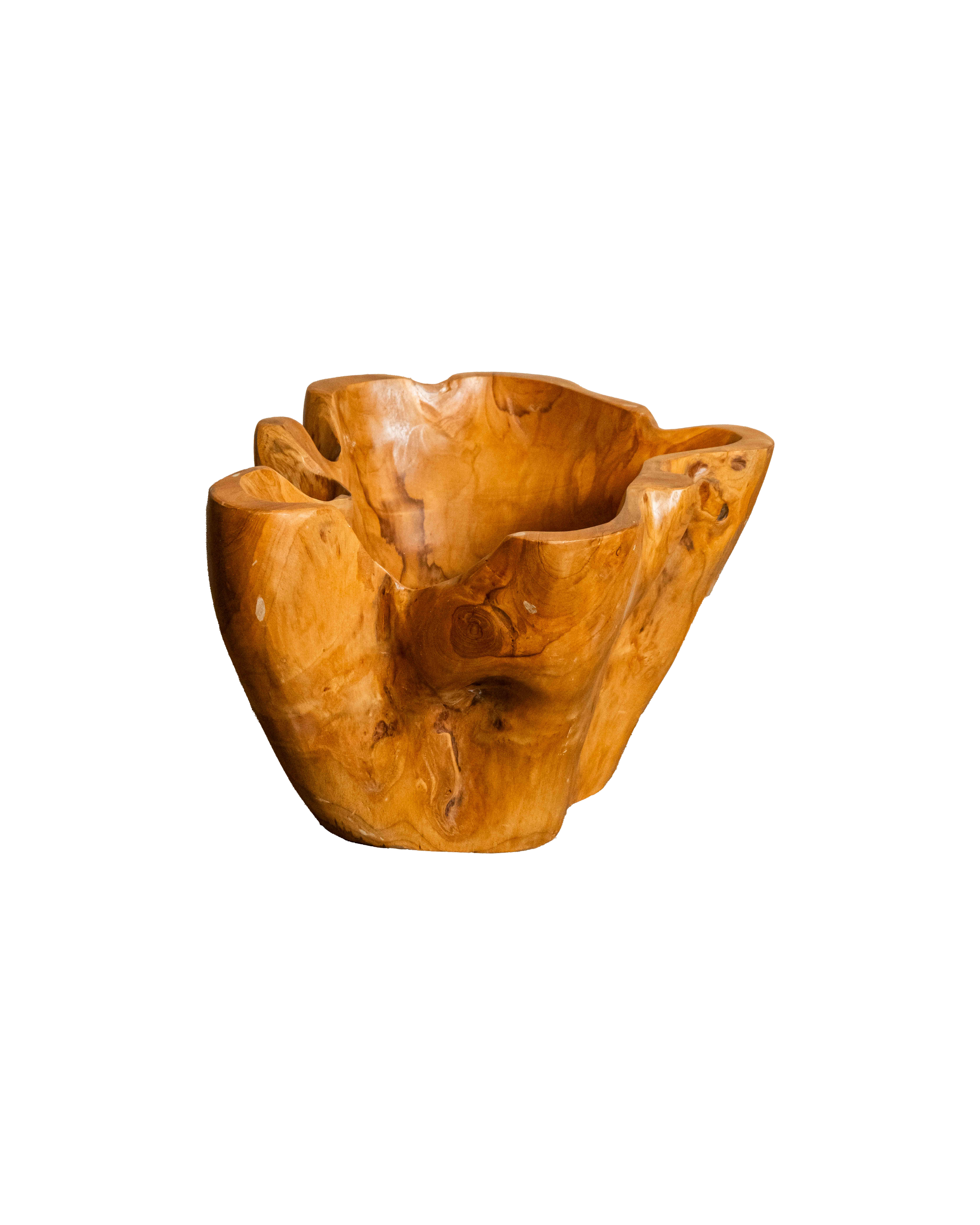 Teak Root Boosom Vase