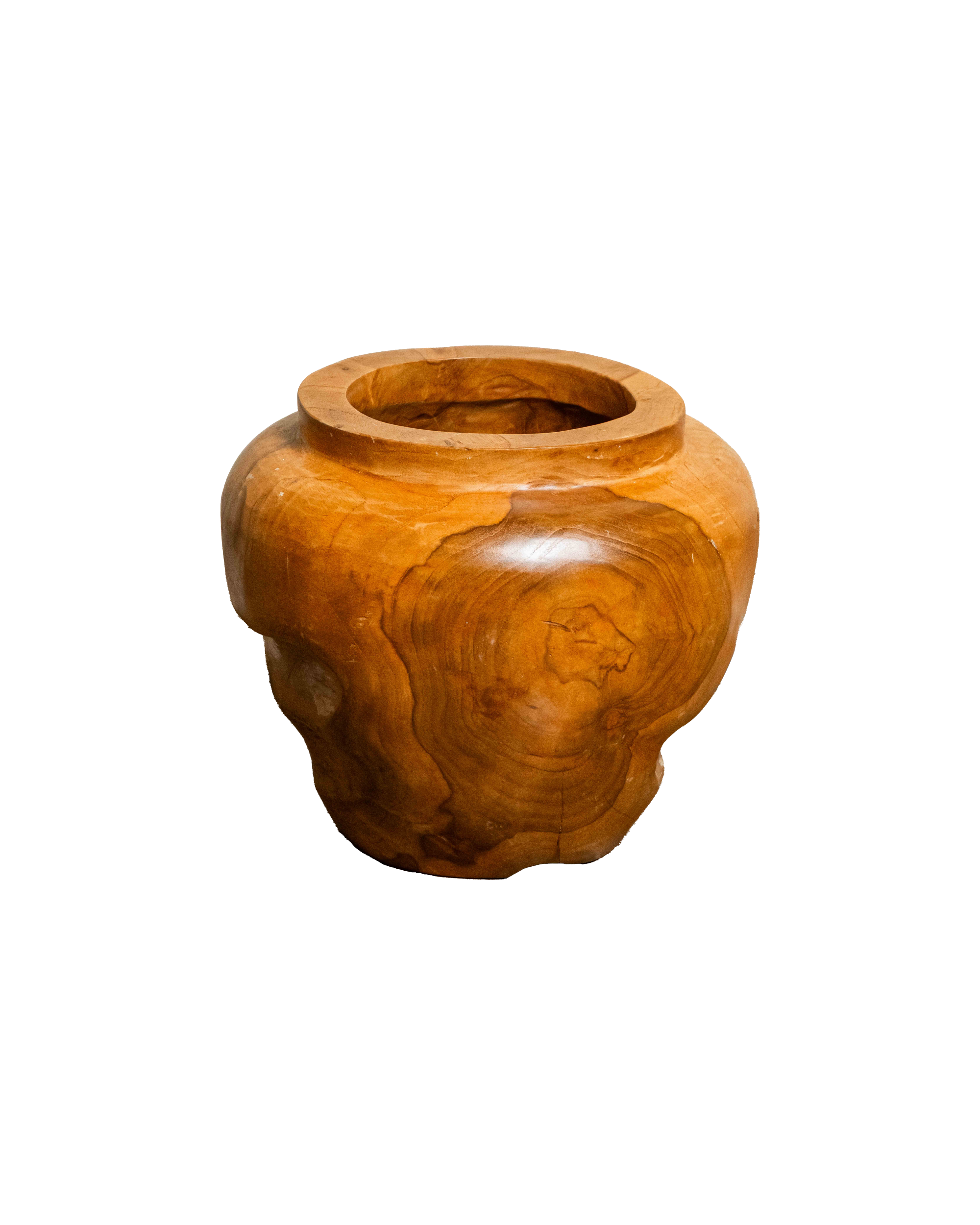 Teak Root Jal Vase