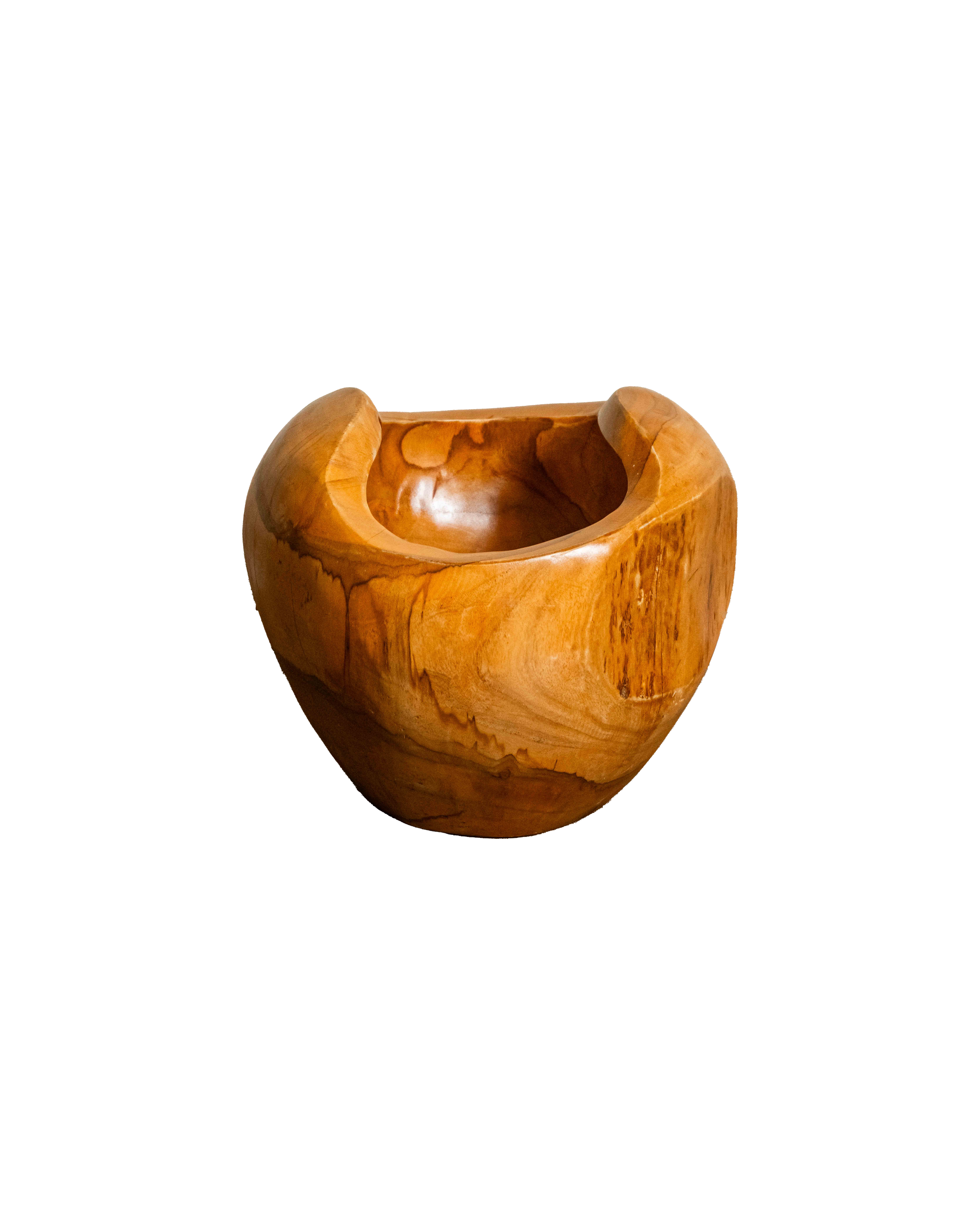 Teak Root Infinity Vase