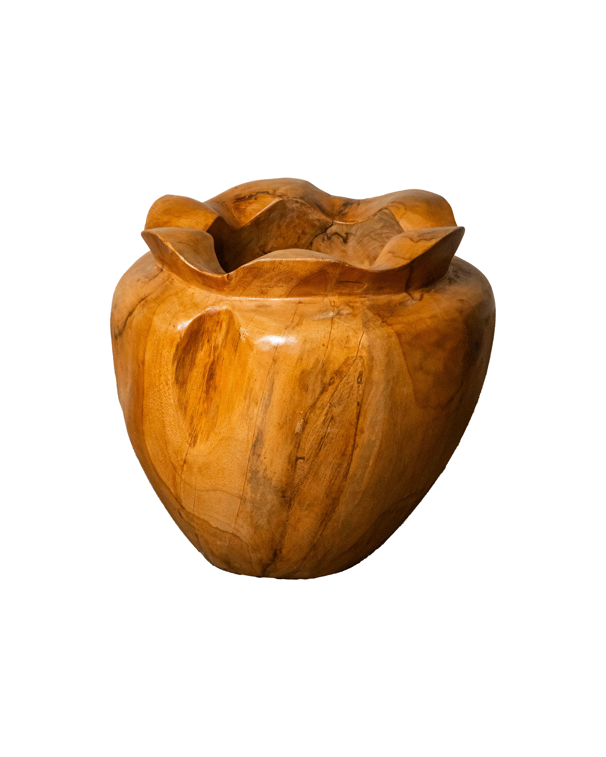 Teak Root Bloom Vase